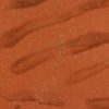 Taxandria rood schors waalformaat strengpers