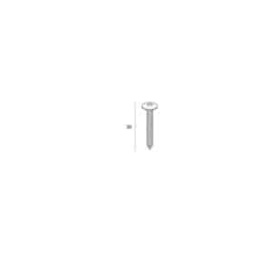 Keralit schroef Torx (T20) RVS (2801)