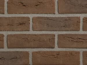 Aalster Bont rood waaldikformaat handvorm