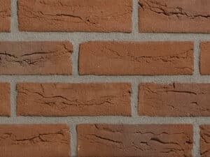 Engels Bont rood waaldikformaat handvorm