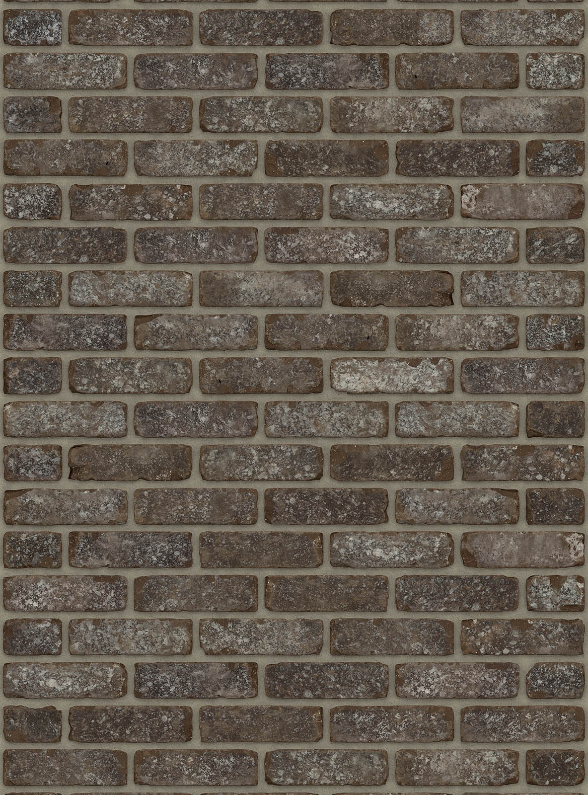 Alabama retro zwart waaldikformaat vormbak