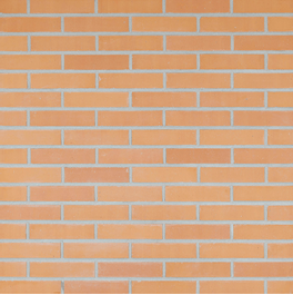 Leerkleur gladde onbezande geperforeerde gevelsteen WF Strengpers